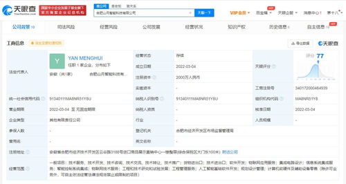 信息系統集成服務 構建數字化未來的關鍵基石
