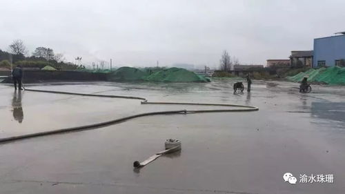 拆鍋爐、抑揚塵、禁焚燒 珠珊鎮(zhèn)大氣污染防治成效顯著，合同能源管理助力綠色發(fā)展