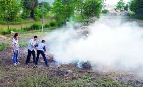 禁止焚燒秸稈，推動大氣污染治理，守護生活環(huán)境